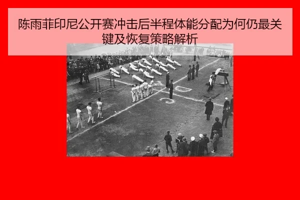 chen-yu-fei-yin-ni-gong-kai-sai-chong-ji-hou-ban-cheng-ti-neng-fen-pei-wei-he-reng-zui-guan-jian-ji-hui-fu-ce-lve-jie-xi-2-522.jpg