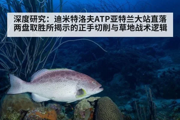 深度研究：迪米特洛夫ATP亚特兰大站直落两盘取胜所揭示的正手切削与草地战术逻辑